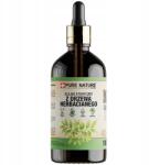 Pure Nature Teafa Illóolaj Természetes Illóolaj 100ml (OLEJEK ETERYCZNY HERBACIANY TEA TREE)