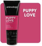 Animology Puppy Love kölyökkutyasampon 250ml (PFS1744)