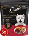 Cesar marha- és baromfihúsos kutyatáp 5x1, 4kg