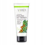 VIANEK Normalizáló peeling archoz korunddal, Tisztító 90g