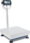 Dini Argeo W66-60-SL platformmérleg, 60 kg-ig / 20 g, 60 x 60 cm, hitelesített