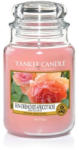 Yankee Candle Sun-Drenched Apricot Rose 623 g