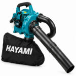 HAYAMI HA-3009