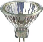 Philips Bec Halogen Spot 50W GU5.3 12V 36D Accent (EL0006539)