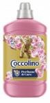 Coccolino Parfüm folyadék Honeysuckle & Sandalwood öblítéshez 1600ml