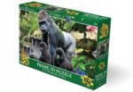  3D Puzzle Gorillák (H082272)