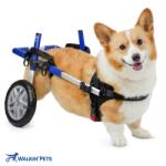  Walkin' Pets - Cărucior pentru câini Corgie Albastru