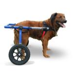  Walkin' Pets - Cărucior, mărime mare (32-82 kg) Albastru