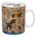 Mugshop Bögre - Evolúció / Evolution