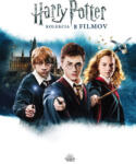 MagicBox Harry Potter kolekcia 1. -8. 8DVD (SK) | WB