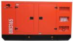 Bisonte BIKS165 Generator