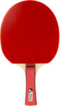 JOOLA Team Junior Pingpongütő