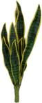  EUROPALMS Snake Tongue (EVA), artificial, green-yellow, 60cm (82530590)