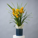 ImodFlowers Orhidee cymbidium galben vibrant