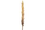  Művirág Astilbe világos barna 114 cm