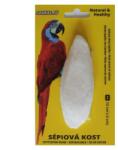 JUKO Os de Sepie Natural JUKO, 12 cm (1 Bucata) Natural Calciu, Minerale
