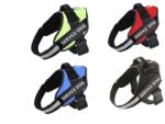 Yommy Ham Service Dog Yommy 46-61cm, Control Tehnic si Interior Captusit