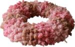 Botane Coroniță Pink Moss Wreath 40 cm (BOT-CH26-WRE-013)
