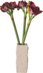 Botane Buchet de flori artificiale Burgundy Amaryllis (BOT-WI26-BOU-014)