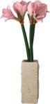 Botane Buchet de flori artificiale Light Pink Amaryllis (BOT-WI26-BOU-026)