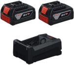 Bosch Set acumulatori 18V 2x acumulatori Li-Ion, 18V, 5Ah + Încărcător rapid EXPERT, 12V și 18V, 8Ah (1600A03CH1)