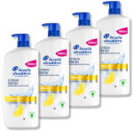 Head & Shoulders Citrus Fresh korpásodás elleni sampon zsíros hajra (4x1000 ml)