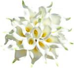 ONLY ART Művirág Fehér Kála 20 db - 34 cm Rugalmas Szárú PU Habvirág Esküvői és Otthoni Dekorációhoz, Valentin-napra
