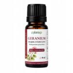 Plantago Geránium illóolaj 10 ml 100% természetes (2026)