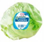  Farma z Rohoznice Jégsaláta Hollandia 1 db