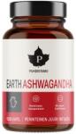 Puhdistamo - Earth Ashwagandha BIO 120 capsule
