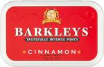Barkleys fahéjas ízű cukorka 50 g (21433)