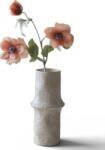 Botane Floare artificială Botane anemone coronaria 70 cm șampanie (BOT-OR-AN-002)