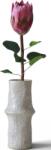 Botane Floare artificială Botane protea 70 cm roșie (BOT-RE-KPR-001)