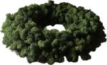 Botane Coroană Green Moss 40 cm (BOT-CH26-WRE-010)