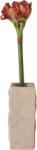 Botane Floare artificială Botane amaryllis 73 cm, roșu-cărămiziu (BOT-LO-AMY-001)