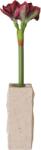 Botane Floare artificială Botane amaryllis 73 cm, bordo (BOT-BU-AMY-001)