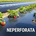 AgroClima Folie mulcire 30 microni - 1 x 50 m