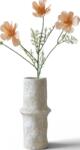 Botane Floare artificială Botane cosmos 50 cm, șampanie (BOT-BE-DAI-003)