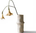 Botane Floare artificială Botane ciumăfaie 78 cm, bej (BOT-CR-DAT-001)