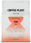 COFFEE PLANT Cafea Boabe LOW Blossom Filter Decofeinizata Aroma Menta | 250 g (cfd-2101014865)