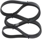Bosch Curea Transmisie Cu Caneluri 1987947077 Mercedes-Benz Atego/Axor 2/Lk/Ln2 (1987947077)