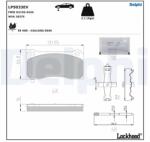 DELPHI Set Placute Frana, Frana Disc Lp5033Ev Tesla Model 3/Model Y (LP5033EV)