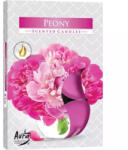 BISPOL Lumânări cu aromă de bujor p15-157 6 buc