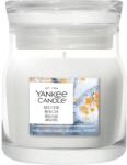  Lumânare Yankee Silver Birch Signature mică