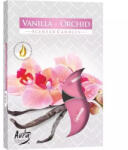 BISPOL Lumânări tip pastilă vanilie-orhidee (p15-184) 6 buc