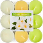 BISPOL Lumânări cu aromă de floare albă p15-179 18 buc