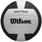 Wilson Röplabda Wilson Pro Tour VB fekete-fehér (WV2000505XB) - s1sport