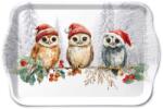 Ambiente B. V Karácsonyi baglyos műanyag kistálca 21x13 cm - Wise Owls (VR-33721095)
