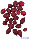  Cane Fruit - Piros