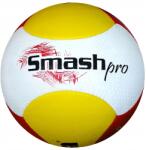 Gala Beach Smash Pro 6 Bp 5363 S (15009)